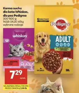Delikatesy Centrum Karma sucha dla kota Whiskas oferta