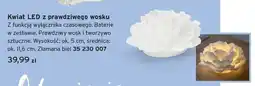 Tchibo Kwiat LED z prawdziwego wosku oferta