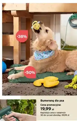 Tchibo Bumerang dla psa oferta