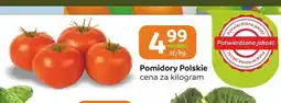Społem Częstochowa Pomidory Polskie oferta