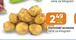 Społem Częstochowa Ziemniaki wczesne oferta