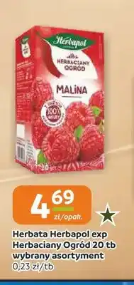 Społem Częstochowa Herbata ekspresowa Herbapol Herbaciany Ogród oferta