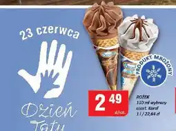 Chorten Lody rożek Koral oferta