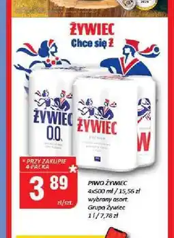 Chorten Piwo Żywiec 4-pak oferta