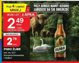 Chorten Piwo Żubr oferta