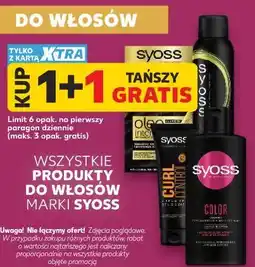 Kaufland Wszystkie produkty do włosów marki Syoss oferta