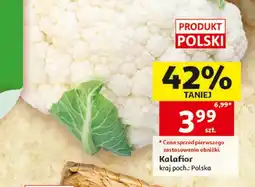 Auchan Kalafior polski oferta
