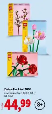 Lidl Zestaw klocków LEGO oferta