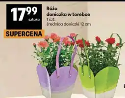 Delikatesy Centrum Róża oferta