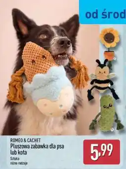 ALDI ROMEO & CACHET oferta