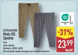 ALDI UP2FASHION Moda XXL Spodnie oferta