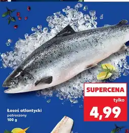 Kaufland Łosoś Katarzyna Stoparczyk oferta