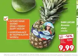 Kaufland Ananas złoty San Lucar oferta