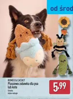 ALDI Pluszowa zabawka dla psa ROMEO & CACHET oferta