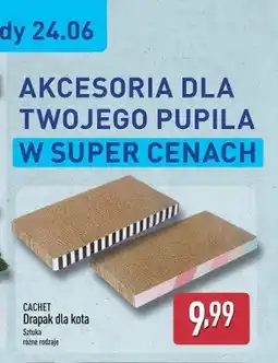 ALDI Drapak dla kota CACHET oferta