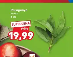Kaufland Paraguayo luzem oferta