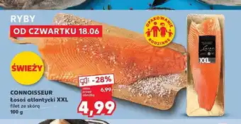 Kaufland Łosoś atlantycki XXL filet ze skórą Connoisseur oferta