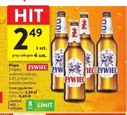 Intermarche Piwo Żywiec Premium oferta