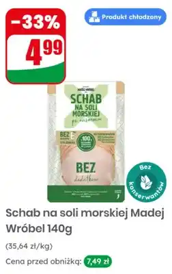 Dino Schab na soli morskiej Madej Wróbel oferta