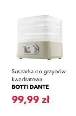 Nela Suszarka do grzybów kwadratowa Botti Dante oferta