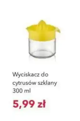 Nela Wyciskacz do cytrusów szklany oferta