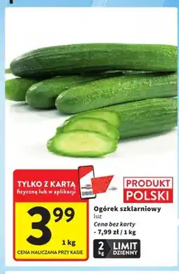 Intermarche Ogórek szklarniowy luz oferta