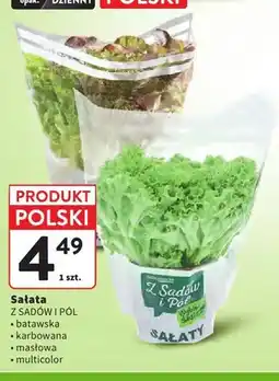 Intermarche Sałata batawska Z Sadów i Pól oferta
