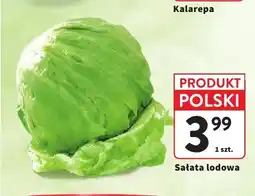 Intermarche Sałata lodowa oferta