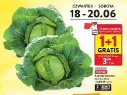 Intermarche Kapusta wczesna oferta