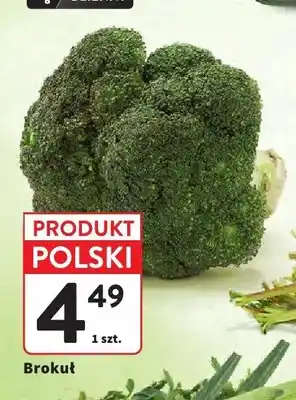 Intermarche Brokuł polski oferta