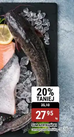 bi1 Sum afrykański oferta