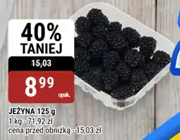 bi1 Jeżyna oferta