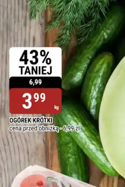 bi1 Ogórek krótki oferta