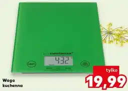 Kaufland Waga kuchenna oferta