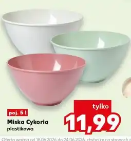Kaufland Miska Cykoria plastikowa, poj oferta
