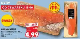 Kaufland CONNOISSEUR Łosoś atlantycki XXL oferta
