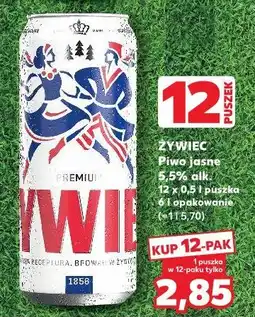Kaufland Żywiec Piwo jasne 5,5% alk oferta