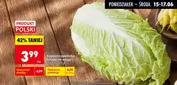 Biedronka Kapusta pekińska młoda oferta