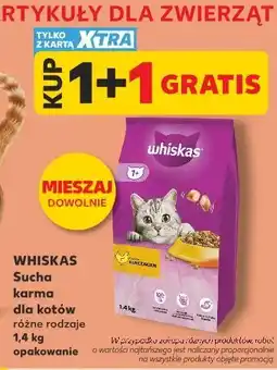Kaufland Whiskas Sucha karma dla kotów oferta