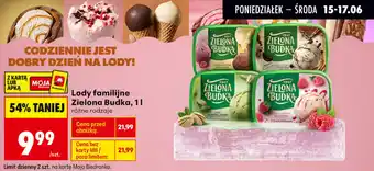 Lody familijne Zielona Budka