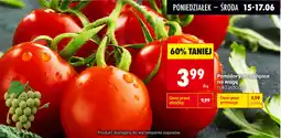 Biedronka Pomidory na gałązce oferta
