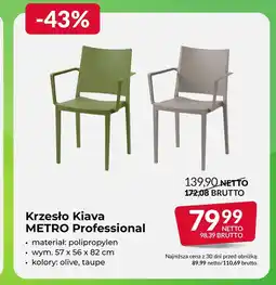 Makro Krzesło Netto oferta