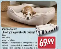 ALDI Legowisko Cachet&Romeo oferta