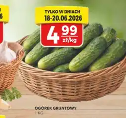 Top Market Ogórek oferta