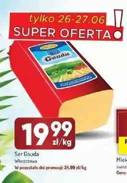 Avita Ser Gouda Włoszczowa oferta