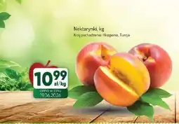 Avita Nektarynki oferta