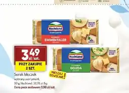 Avita Serek topiony bloczek Hochland Emmentaler oferta