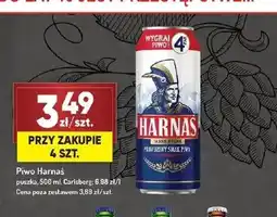 Avita Piwo Harnaś Jasne Pełne oferta