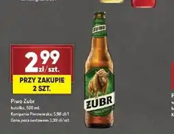 Avita Piwo Żubr oferta