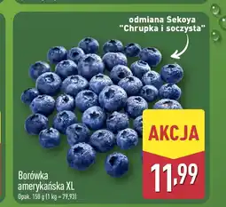 ALDI Borówka amerykańska oferta